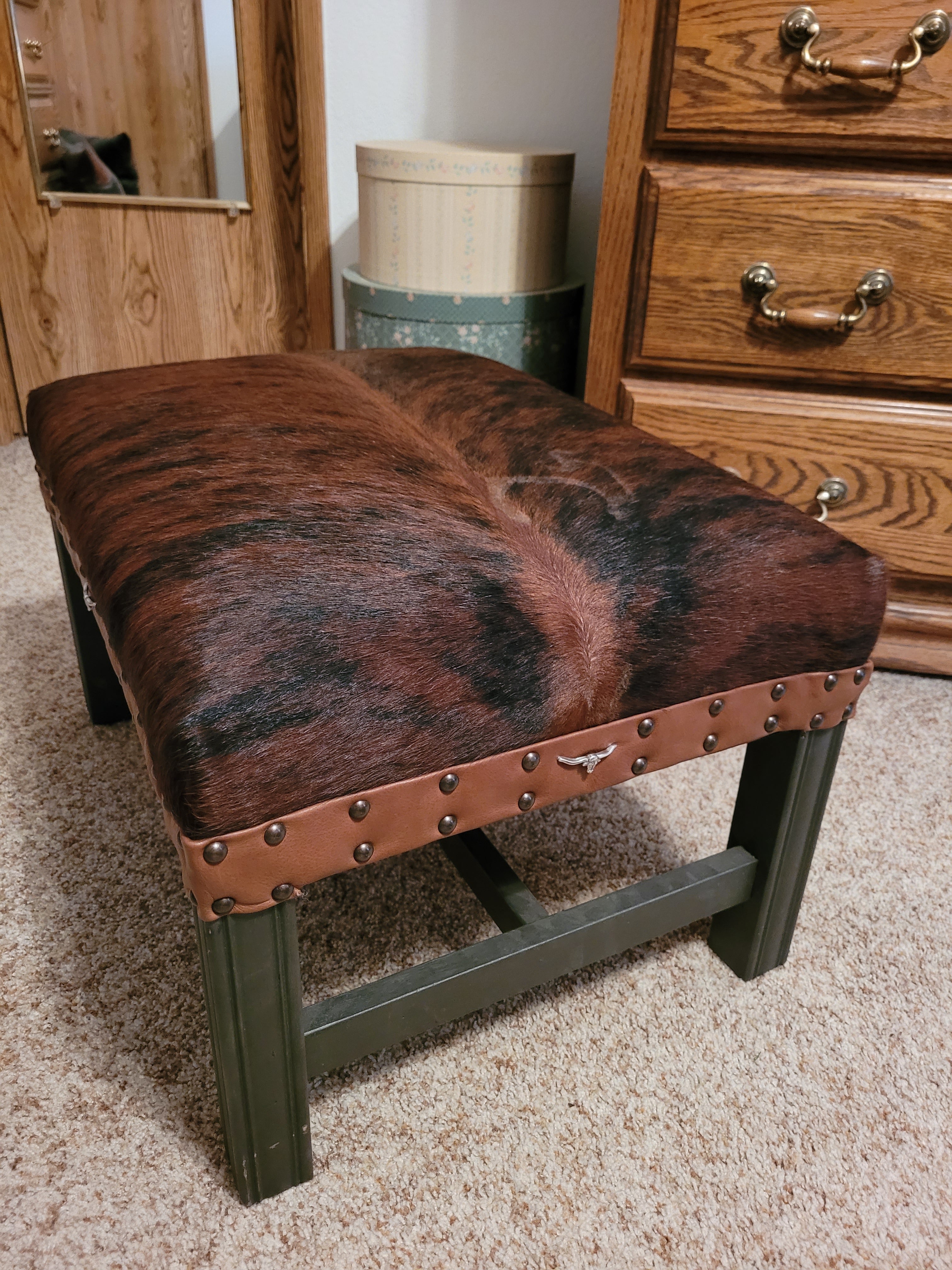 Dark Brown Cowhide w/ Longhorn Accents